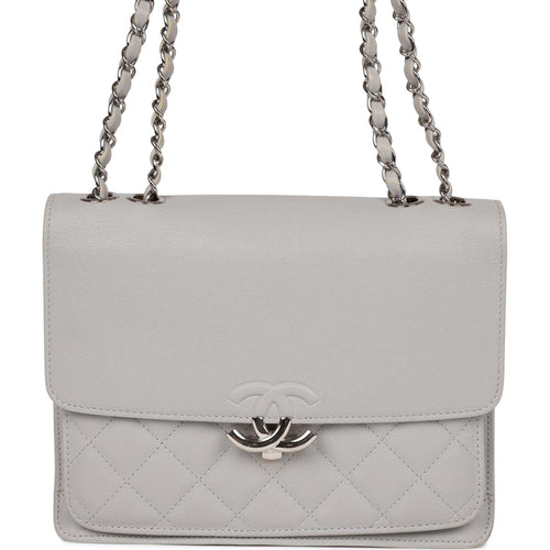 Pre-owned Chanel Companion Flap Bag Grey Goatskin Silver Hardware
