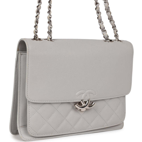 Pre-owned Chanel Companion Flap Bag Grey Goatskin Silver Hardware