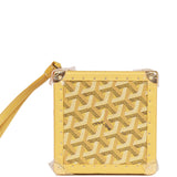 Goyard Metallic Gold Goyardine Coated Canvas Minaudière Trunk Gold  Hardware, 2019 Available For Immediate Sale At Sotheby's