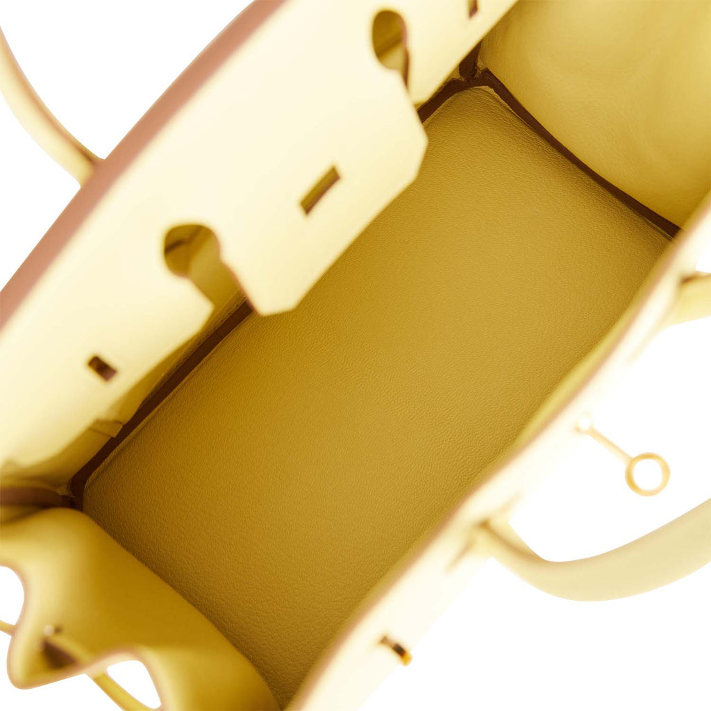 Hermes Birkin 25 Jaune Poussin Togo Yellow Gold Hardware Bag Z Stamp, 2021  For Sale at 1stDibs