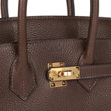 Hermes Birkin 25 Sellier Bag in Gold Veau Barenia Faubourg with Gold Hardware Brown