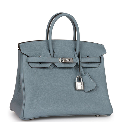 Hermès Hermès Birkin 25 Togo Leather Handbag-Camel Silver Hardware (Top  Handle)