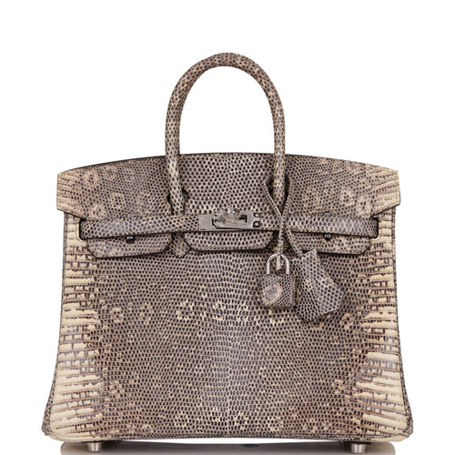 Hermes Birkin 25 Ombre Shiny Salvator Lizard Palladium Hardware