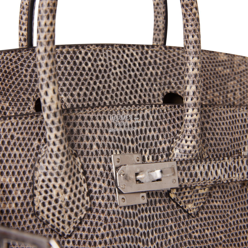 Hermès Ombre Birkin 25cm of Varanus Salvator Lizard with Palladium Hardware, Handbags & Accessories Online, Ecommerce Retail
