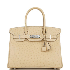 Hermes Birkin 30 Bag Trench Neutral Perfection Palladium Hardware