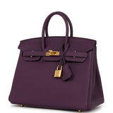 Hermes Birkin 25 Cassis Togo Gold Hardware