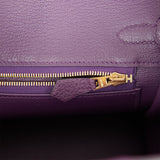 Hermes Birkin 25 Cassis Togo Gold Hardware