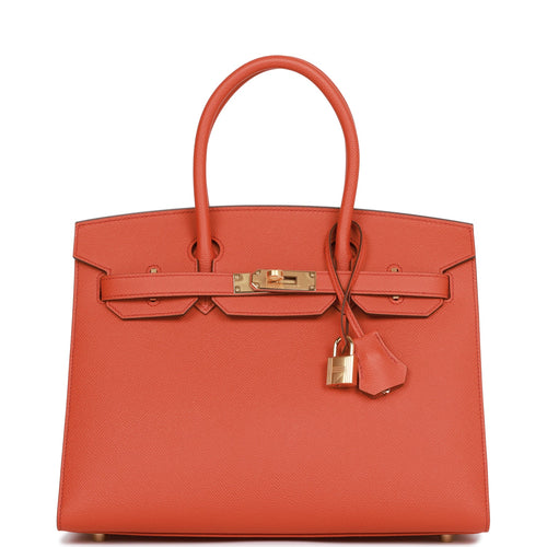 Hermes Birkin Sellier 30 Terre Battue Epsom Gold Hardware