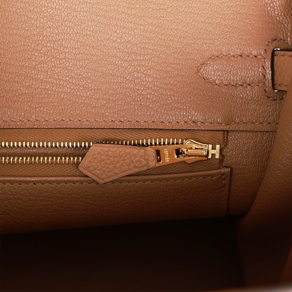 Hermes Birkin 25 Chai Bag Palladium Hardware Togo Leather – Mightychic