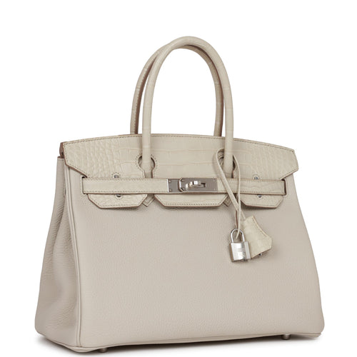 Hermès Togo & Matte Alligator Birkin Touch 25 w/ Tags - Neutrals Handle  Bags, Handbags - HER503007