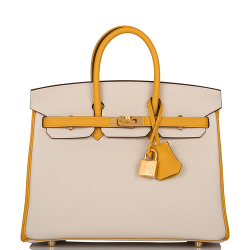 First Hermes Bag Under $3,000? Hermes Picotin 18 🆚 Birkin 25