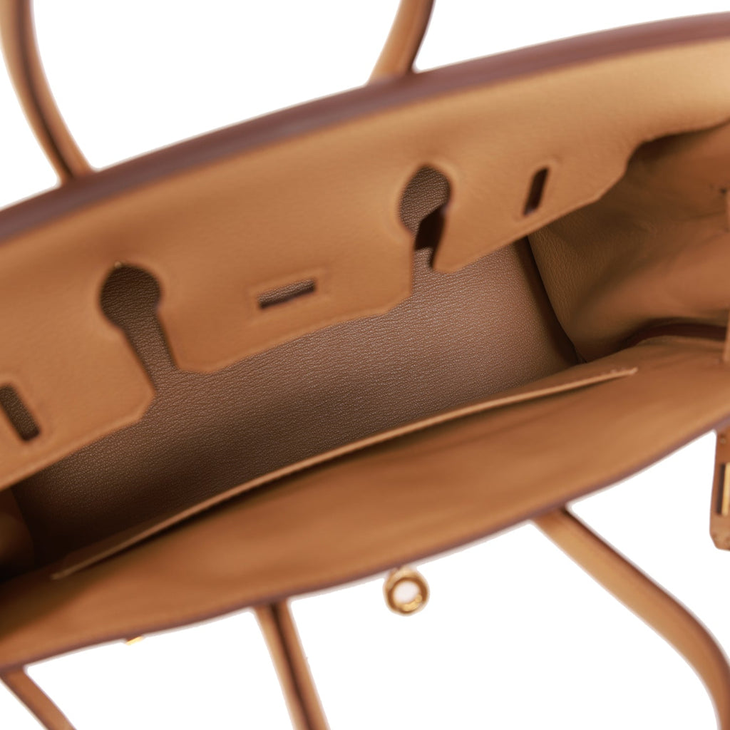 Hermes Birkin 25 Bag Chocolat Gold Hardware Togo Leather – Mightychic