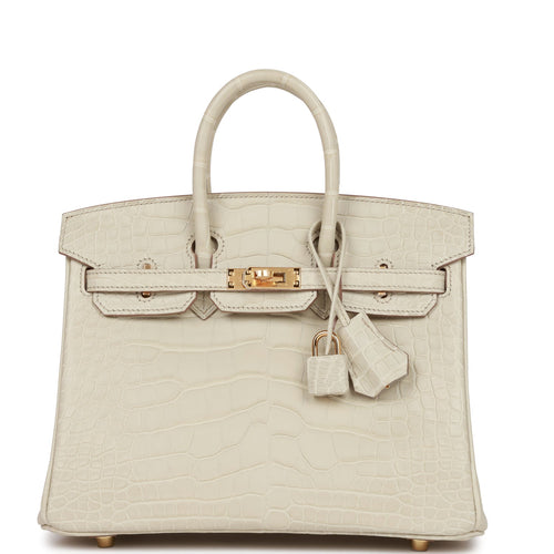 Hermes Birkin 25 Beton Matte Alligator Gold Hardware
