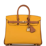 Hermes Special Order (HSS) Birkin 25 Jaune Ambre and Gold Togo Permabrass Hardware