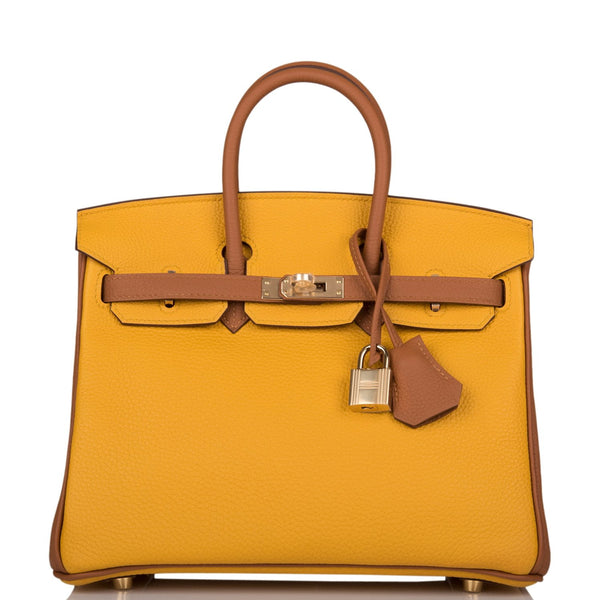 Hermes Special Order (HSS) Birkin 25 Jaune Ambre and Gold Togo Permabr ...