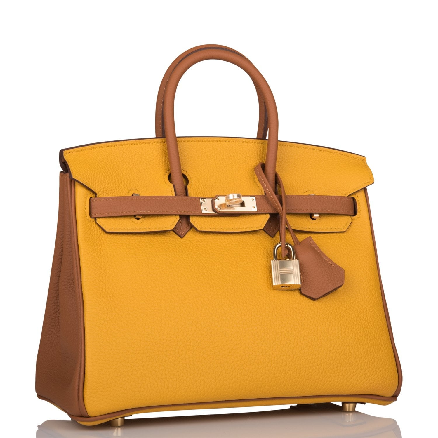 Hermes Special Order (HSS) Birkin 25 Jaune Ambre and Gold Togo Permabr ...