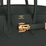 HERMÈS Birkin 25 handbag in Vert Cypress Togo leather with Gold
