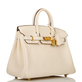 Hermes Birkin 25 Nata Swift Gold Hardware