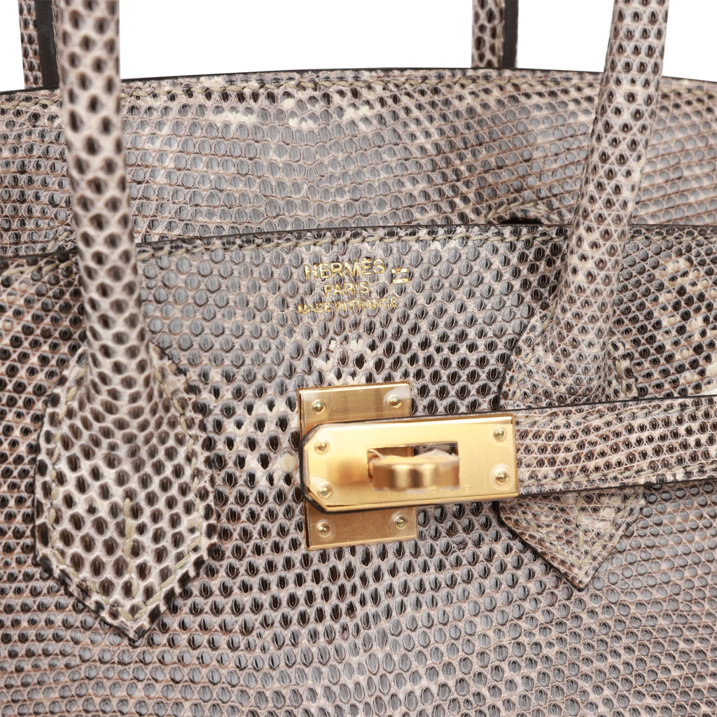 Hermès Birkin 25 Ombre Lizard Palladium Hardware – ZAK BAGS