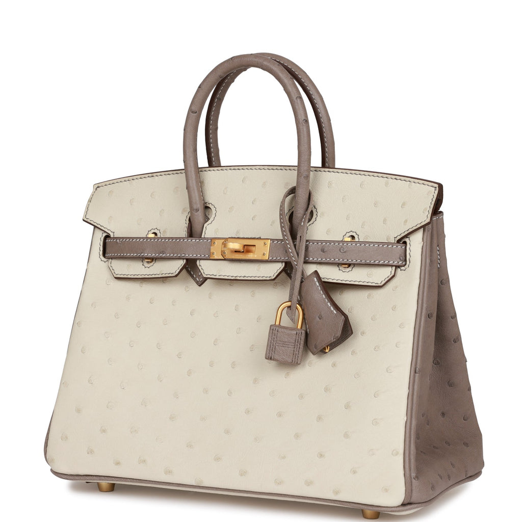 Hermes Special Order (HSS) Birkin 25 Gris Asphalte and Anenome Togo Br –  Madison Avenue Couture