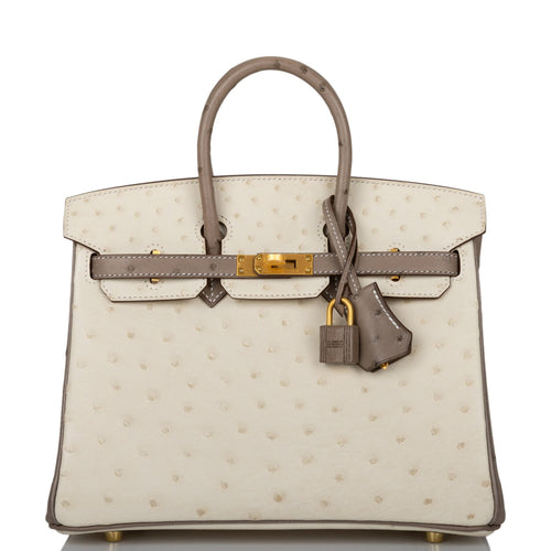 Hermes Special Order (HSS) Birkin 25 Beton and Gris Asphalte Ostrich Brushed Gold Hardware