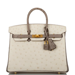 Deposit for Hermes Special Order (HSS) Birkin 25 Beton and Gris Asphalte Ostrich Brushed Gold Hardware