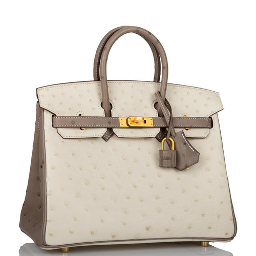 Hermes Special Order (HSS) Birkin 25 Beton and Gris Asphalte Ostrich Brushed Gold Hardware