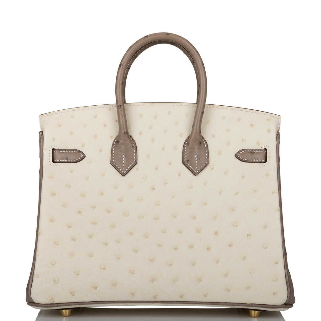 Hermès Gris Meyer Ostrich Birkin 25 Gold Hardware, 2022 Available For  Immediate Sale At Sotheby's
