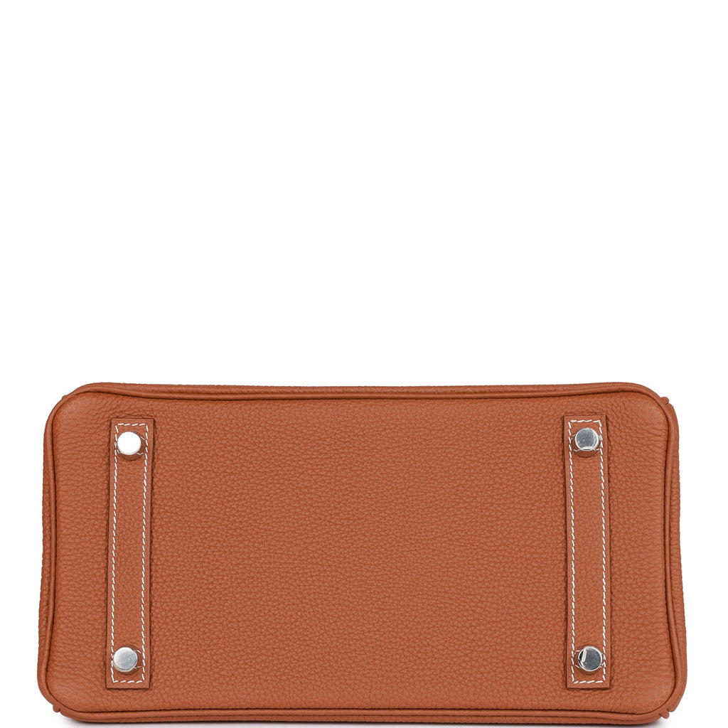 Hermes Birkin 25 Gold Tan Togo Leather Palladium Hardware 2021 Handbag –  Lux Addicts