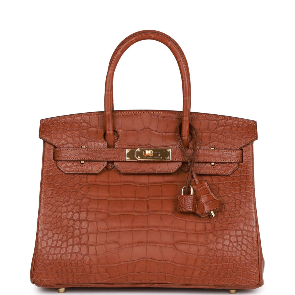 Luxury Genuine Alligator Handbag  Alligator handbags, Hermes bag