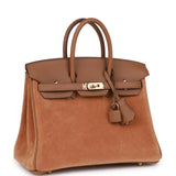 Hermes Birkin 25 Chamois and Alezan Grizzly and Swift Gold Hardware