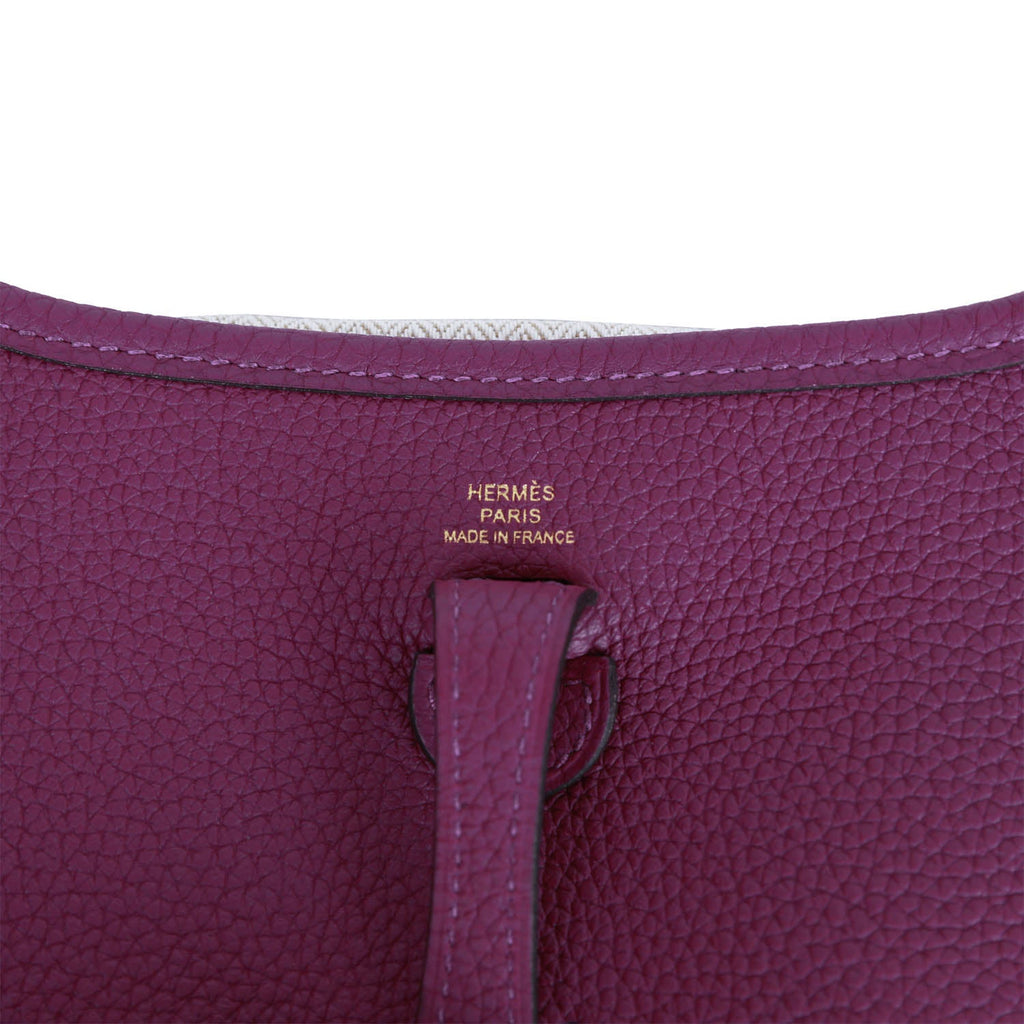 Hermès Picotin 22 In Anemone Taurillion Clemence With Gold Hardware in  Purple