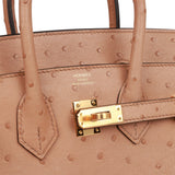 Birkin 25 ostrich handbag Hermès Orange in Ostrich - 34318374