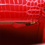 Braise Shiny Porosus Crocodile Mini Kelly 20 Gold Hardware, 2021, Handbags  & Accessories, 2023