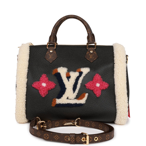 Speedy 25 with twilly and charm  Scarf on bag, Louis vuitton handbags, Louis  vuitton